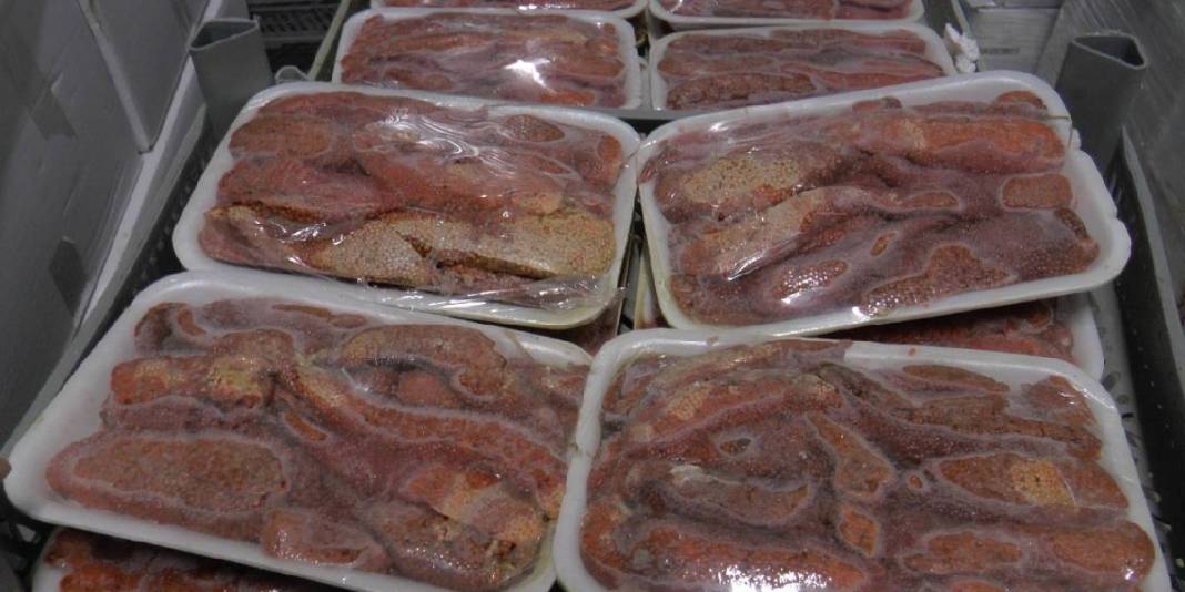 Denizi yok ama deniz kadar balık var! O ilimizden çıkıyor, Rusya, Suriye ve Avrupa'ya satılıyor: Yeni hedef 50 bin ton 3